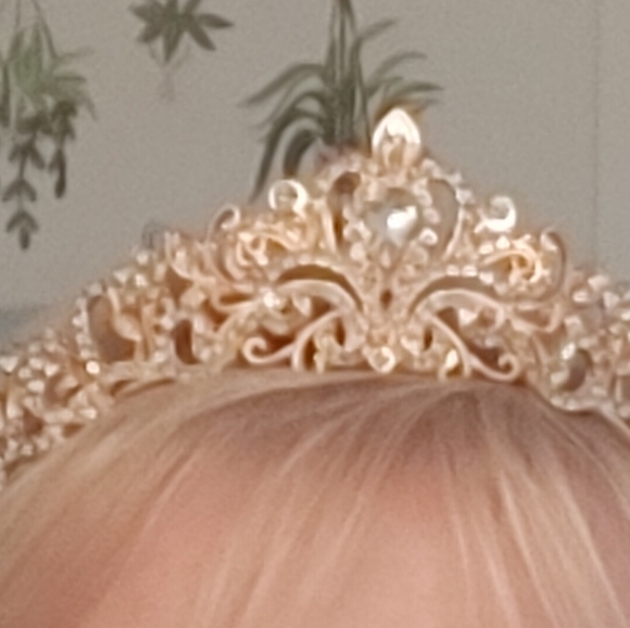 Tiara - Picture 2 of 3